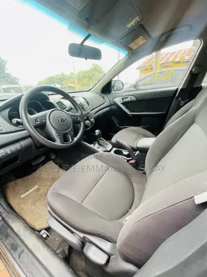 Kia Forte 2013 Gray
