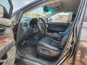 Lexus RX 2010 Gray