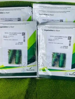 Darina Cucumber 10g