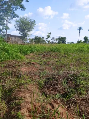 50/100 Level Land Situated at Ukwulu Near Igbariam Campus