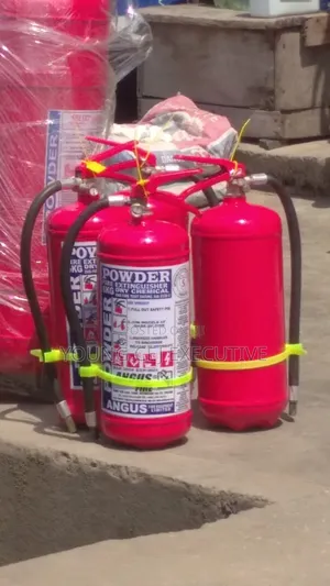 Powder Fire Instigusher for Car Houses Company Etc