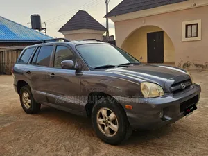 Hyundai Santa Fe 2006 Gray