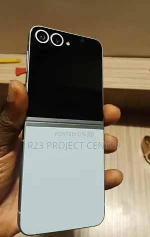 Samsung Galaxy Z Flip6 256 GB Blue