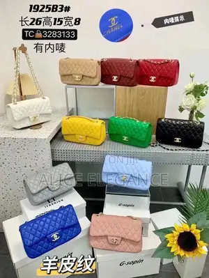 Luxury Chanel Bag