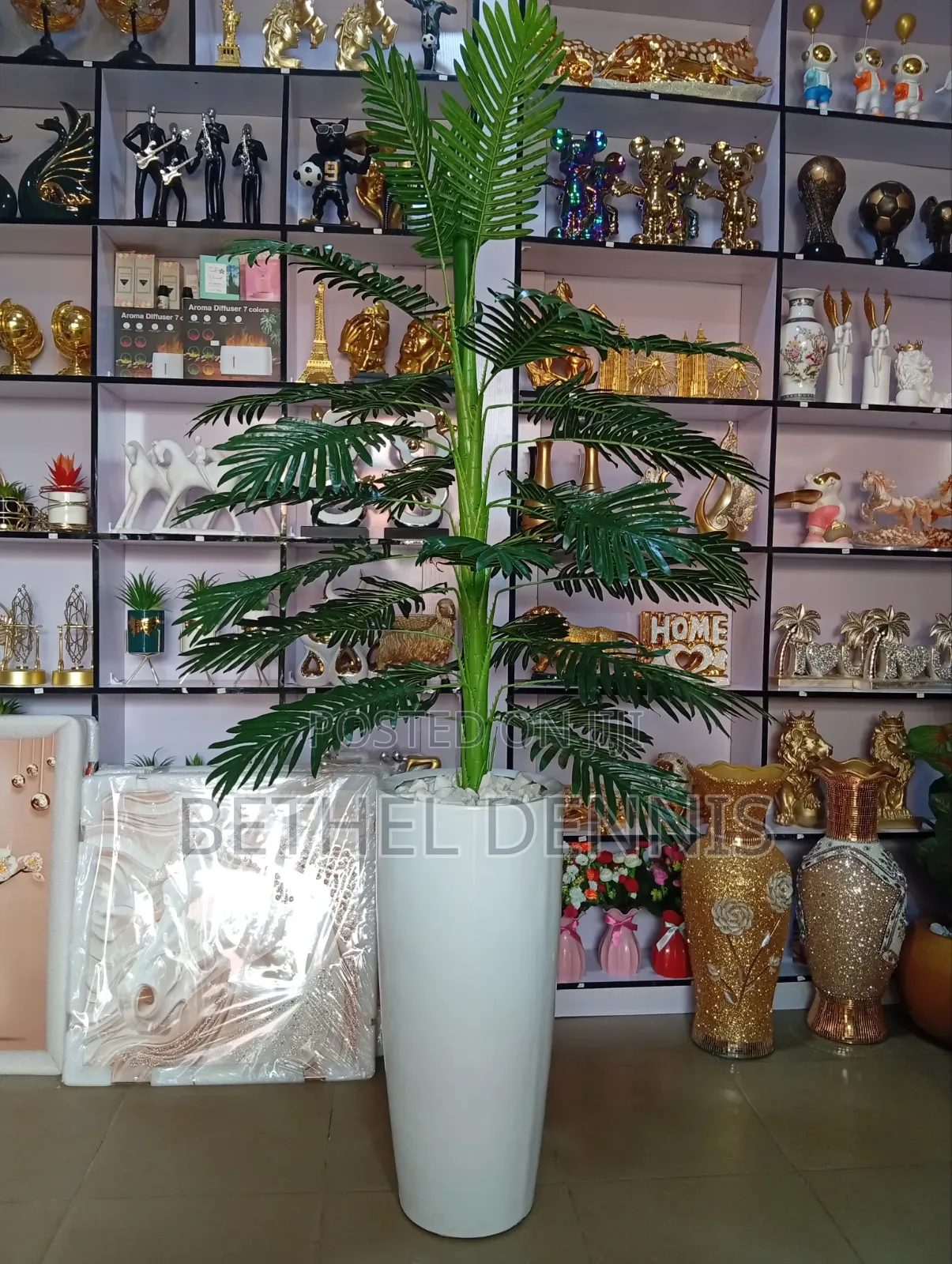 Big Flower Pot With Big Plant