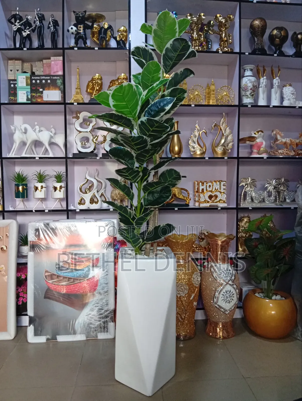 Big Flower Pot With Big Plant
