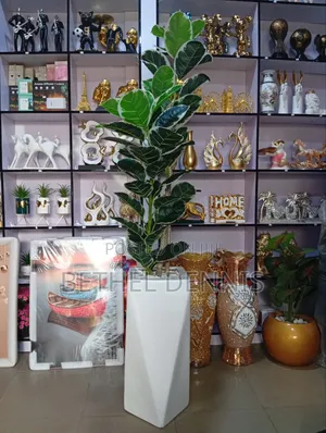 Big Flower Pot With Big Plant