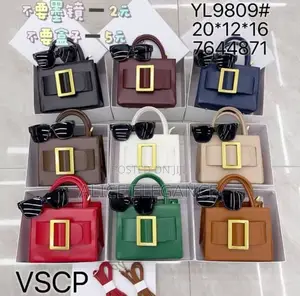 Luxury Boyy Bag