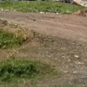 Land Selling Now at Ikeja