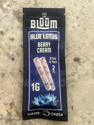 Pre Colled Cones in Berry Cream Flavor