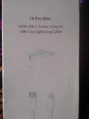 iPhone Charger