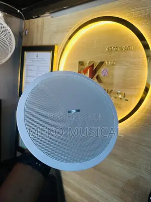 Ceiling Speaker