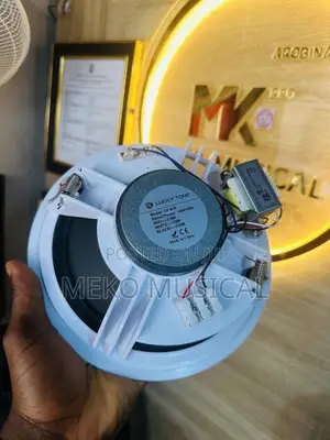 Ceiling Speaker