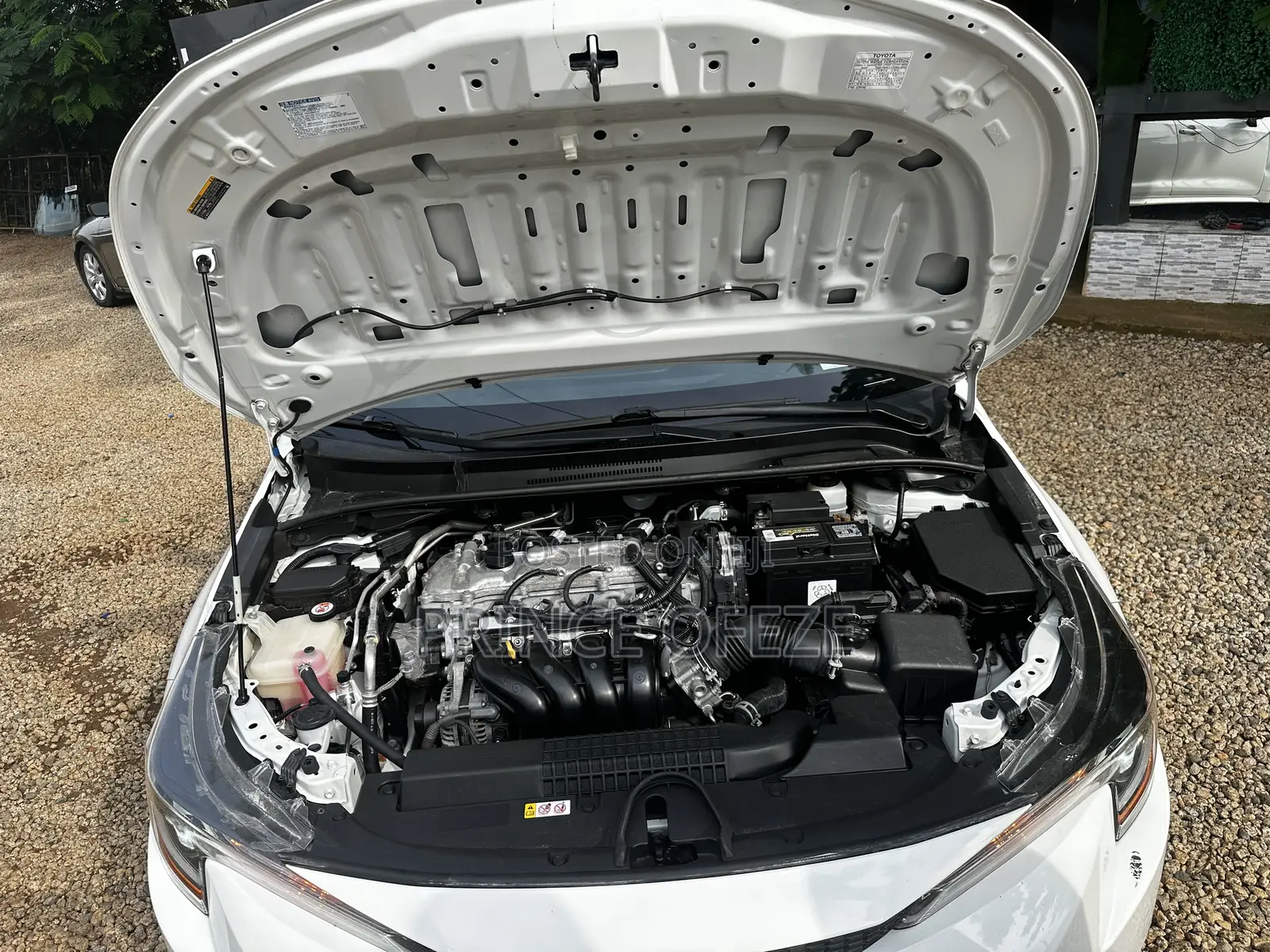 Toyota Corolla 2019 White