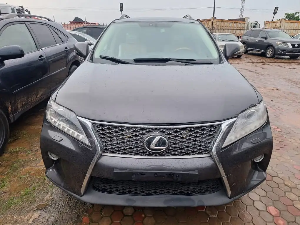 Lexus RX 2010 Gray