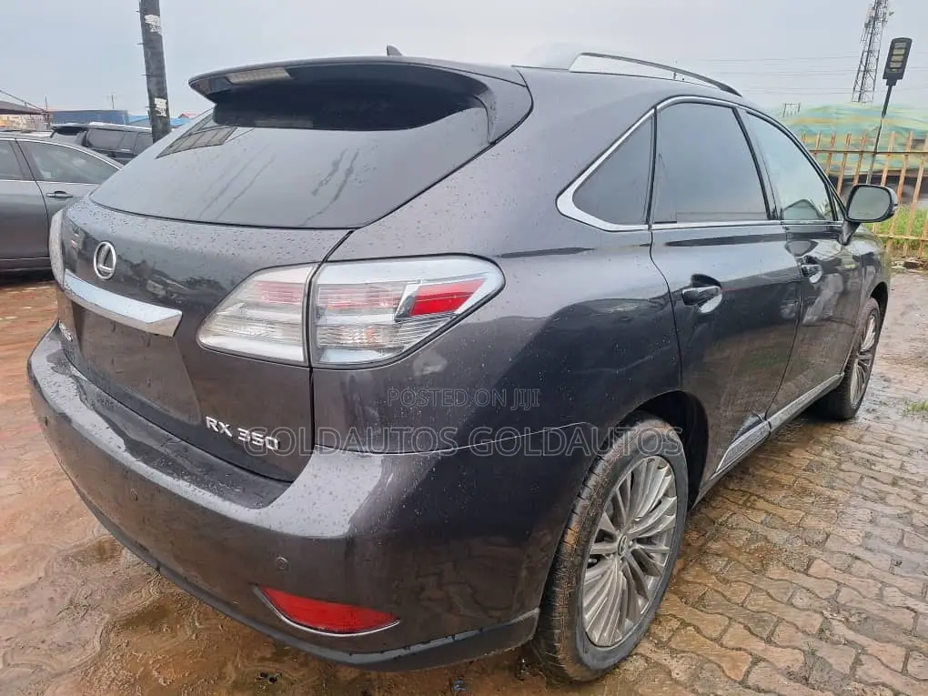 Lexus RX 2010 Gray