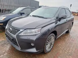 Lexus RX 2010 Gray