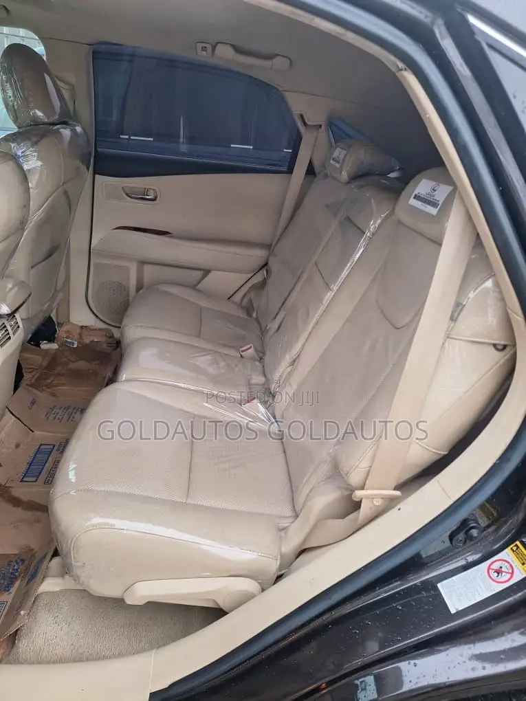 Lexus RX 2010 Gray