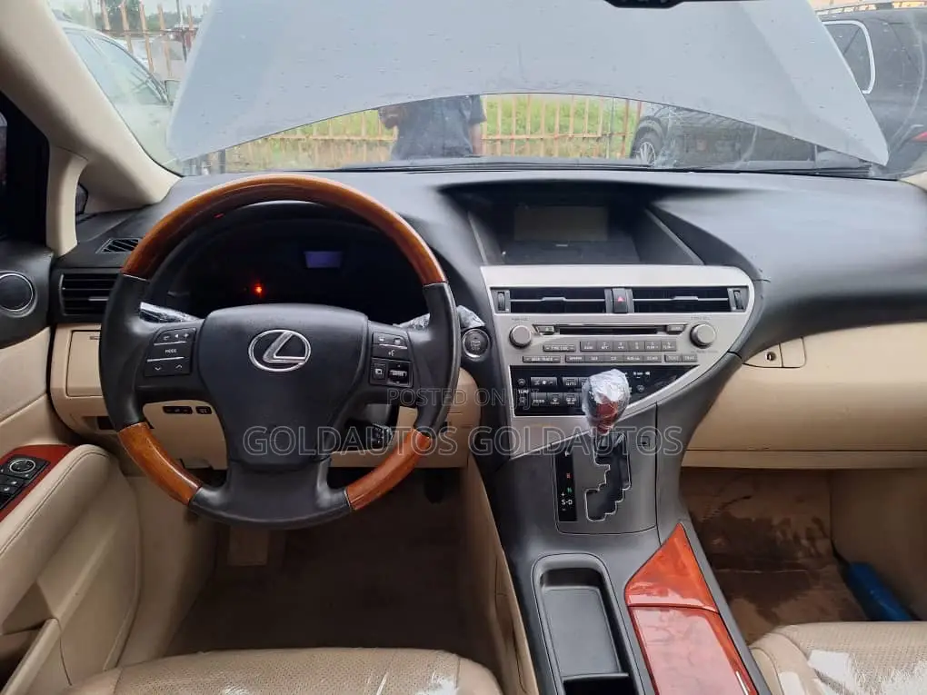 Lexus RX 2010 Gray