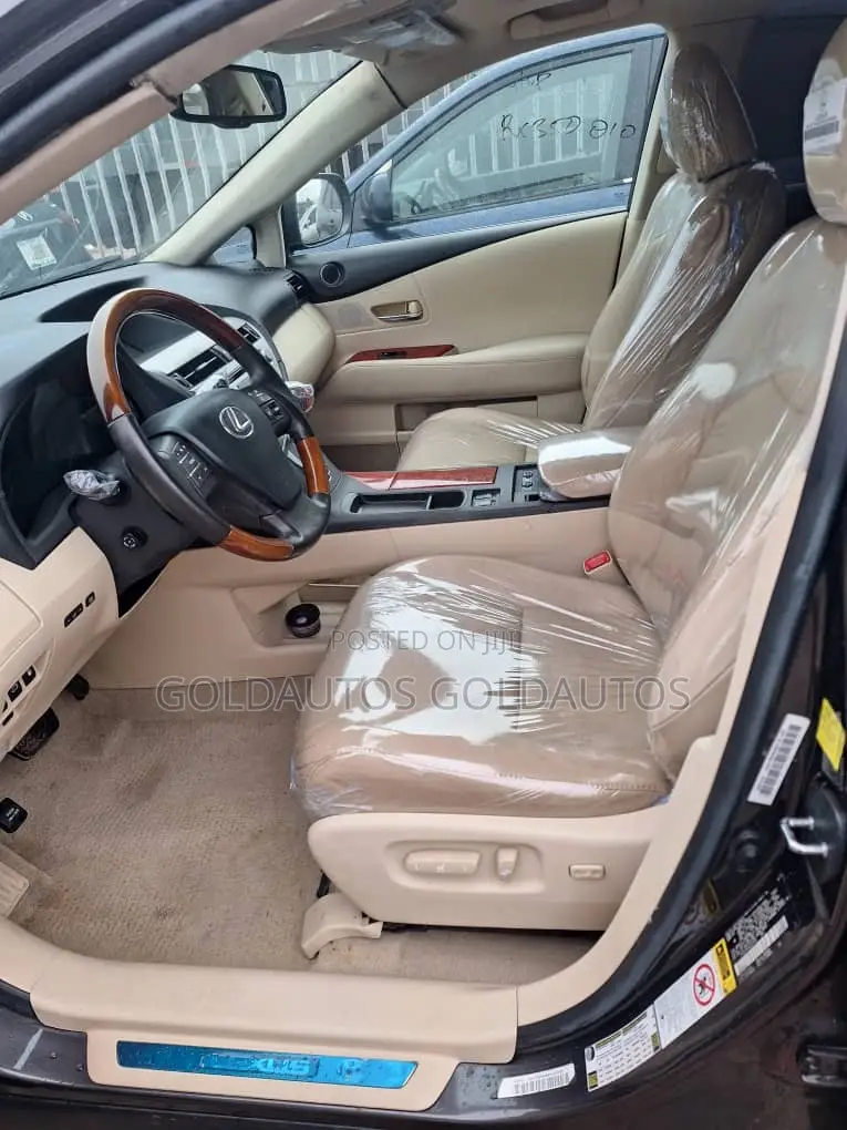 Lexus RX 2010 Gray