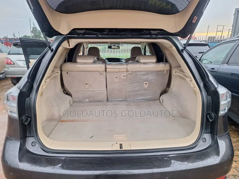 Lexus RX 2010 Gray