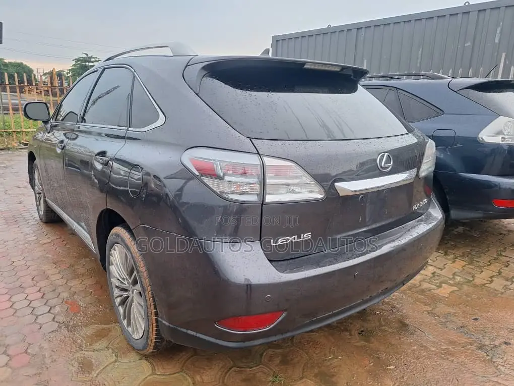 Lexus RX 2010 Gray