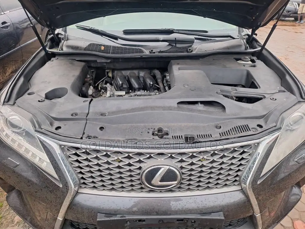 Lexus RX 2010 Gray
