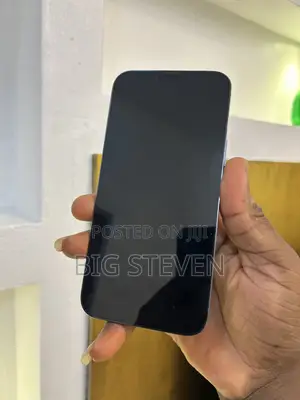 Apple iPhone 13 Pro Max 256 GB Blue