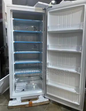 Lg Upright Freezer 302s
