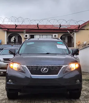 Lexus RX 350 2010 Gray