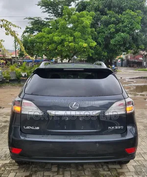 Lexus RX 350 2010 Gray
