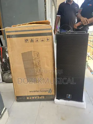 Infinity Hydrive Lm210 Double 10” Woofer Line Array