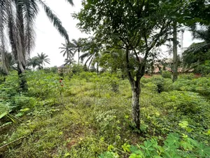 Land for Sale
 Location: Amaeze Uwelu Village, Ejuona Obukpa, Nsukka