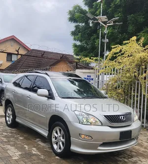 Lexus RX 350 AWD 2009 Silver