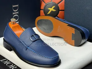 Dior Luxury Male Shoe