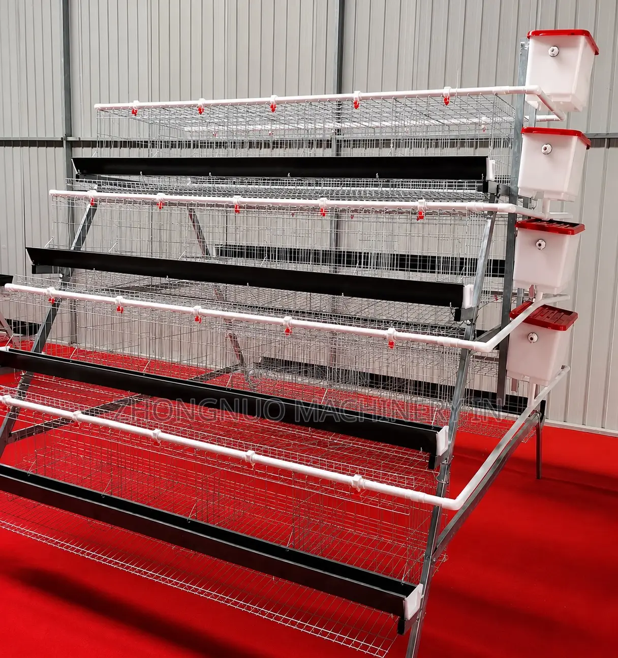 A-Type Imported Battery Cages