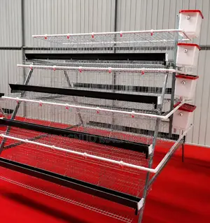 A-Type Imported Battery Cages