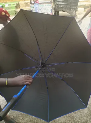 Umbrella Rain