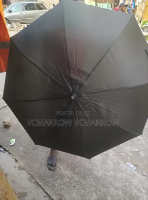 Umbrella Rain