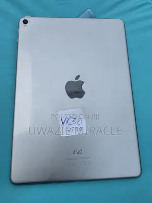 Apple iPad Pro 128 GB Gray