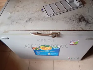 Polystar Pv-Cf355gl 355l Deep Freezer