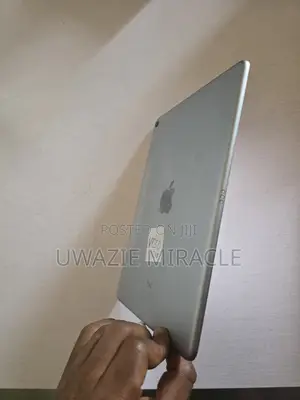 Apple iPad Pro 128 GB Gray