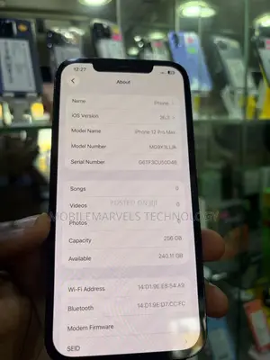 Apple iPhone 12 Pro Max 256 GB Gray