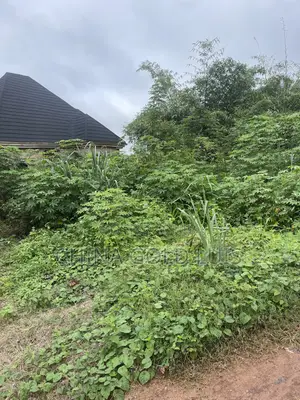 100/100 Land for Sale at Neugbo Agbor Delta State