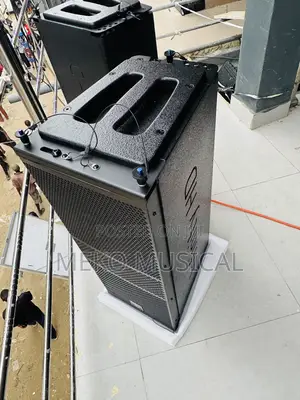 Infinity 10” Line Array Speaker