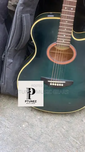 Semi Acoustic Guitar Electric