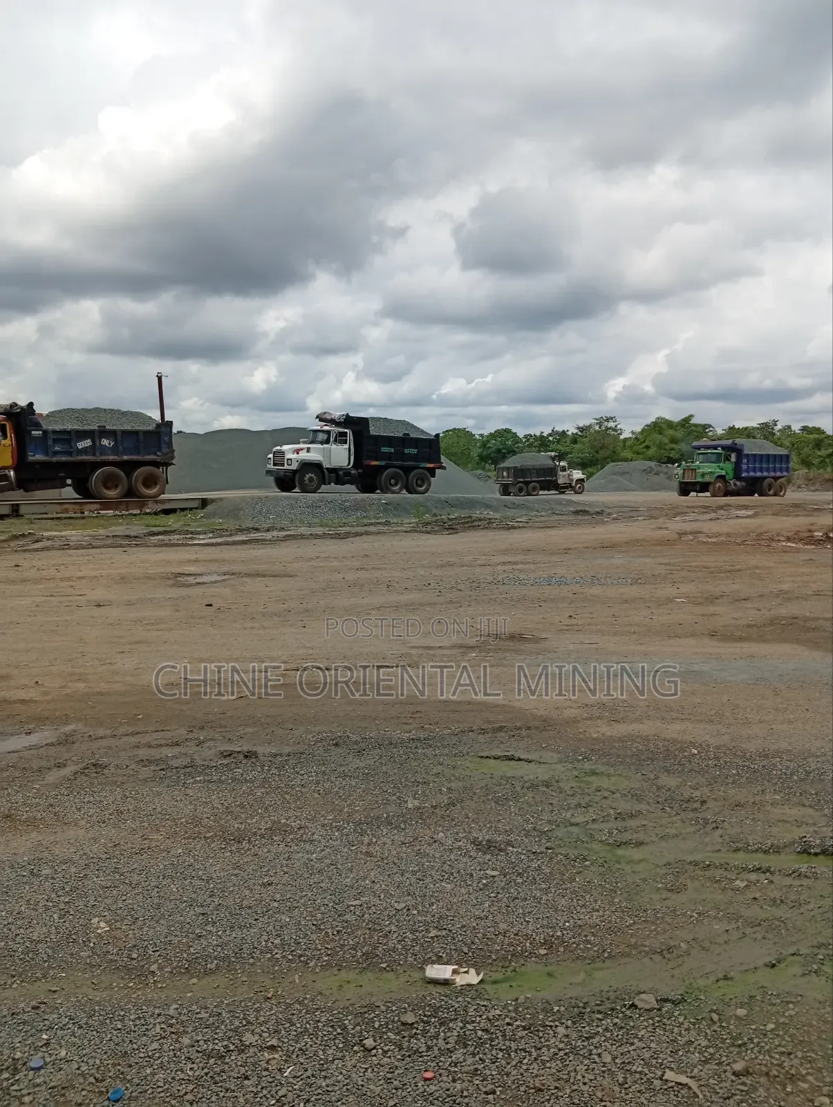 Elevate Your Build: Elite Granite Chippings