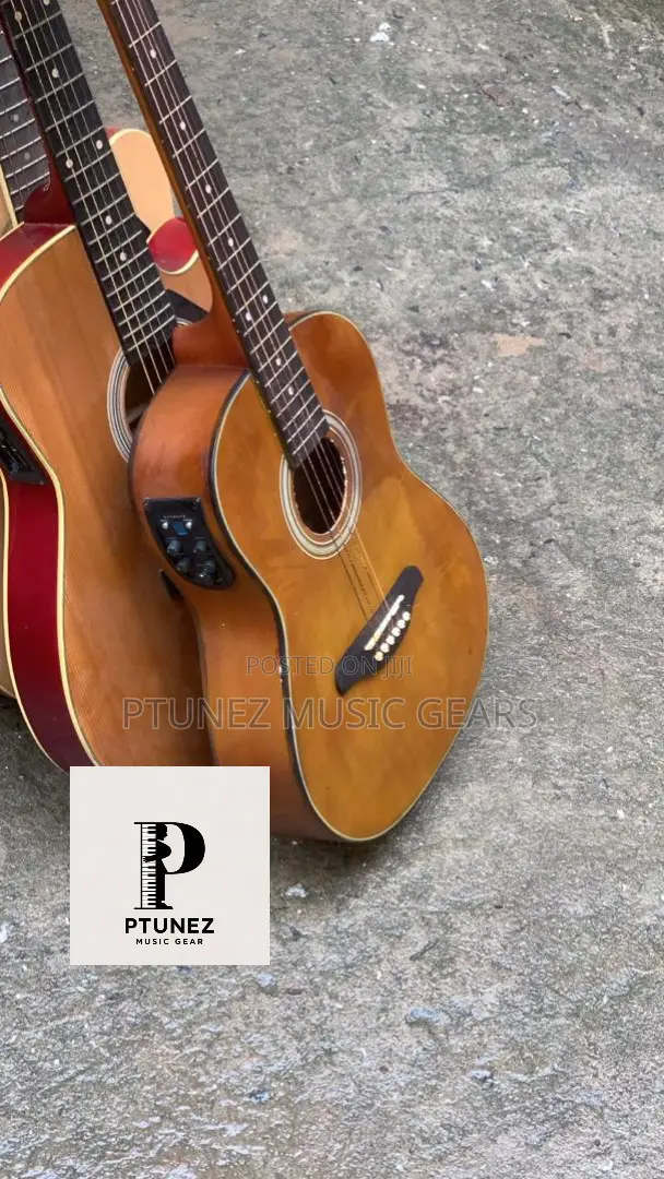 Electric Semi Acoustic Guitar