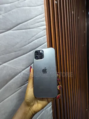 Apple iPhone 12 Pro Max 128 GB Gray