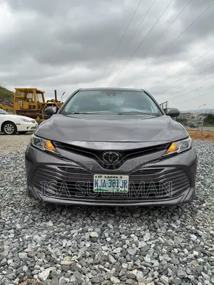Toyota Camry LE (2.5L 4cyl 8A) 2019 Gray